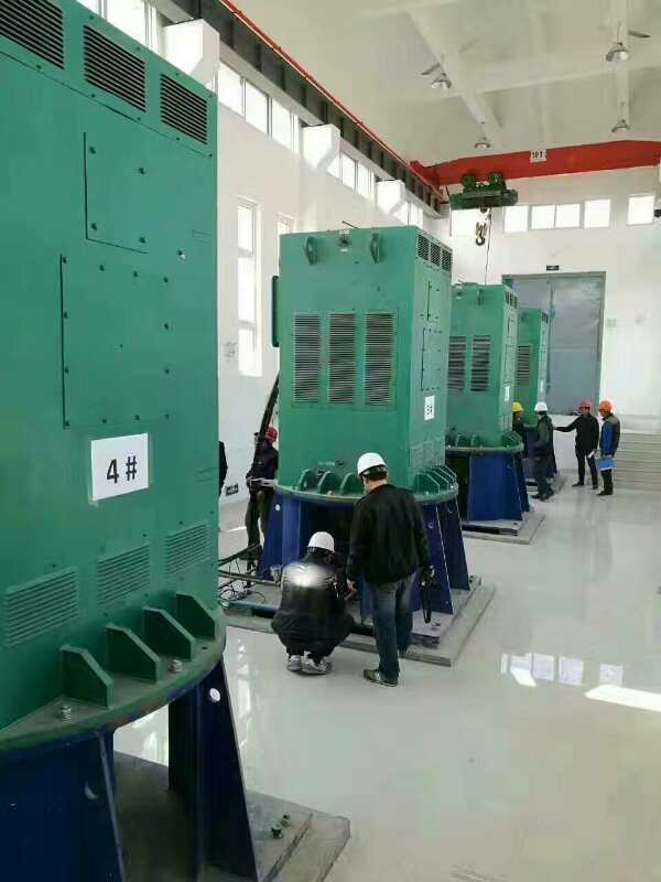 YKK4003-6/220KW某污水处理厂使用我厂的立式高压电机安装现场